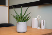Planter Round Charlie S Grey Washed Ø15cm x H14,5cm