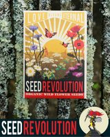 Wildflower Seed Packets | Love Blooms Eternal