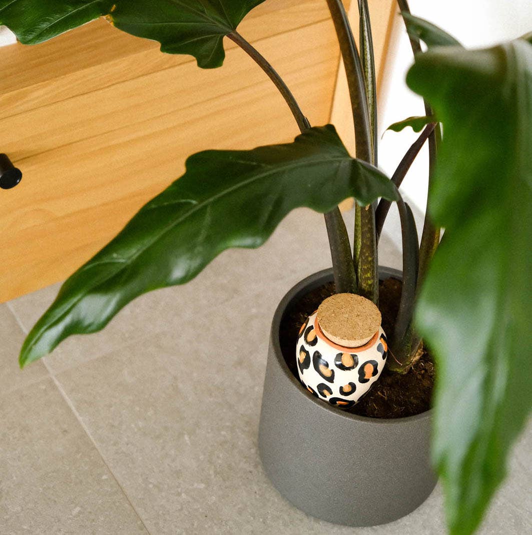 Olla Plant Waterer | Leopard