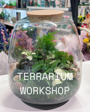 Terrarium Workshop | Tuesday 10th March 2026