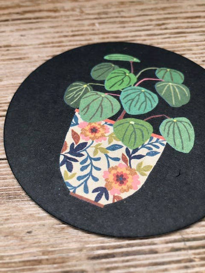 Drinks Coasters With Reversible Designs-Pilea & Mimosa