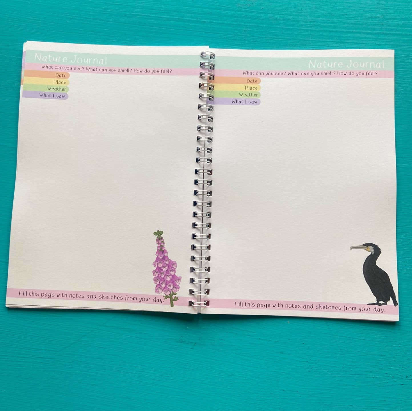 Amazing British Nature Walk Activity Book and Nature Journal
