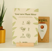 Olla Plant Waterer | Green and Ivory Stripes