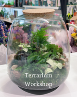 Terrarium Workshop | Tuesday 7th July