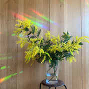 Rainbow maker sticker | You are the sunshine