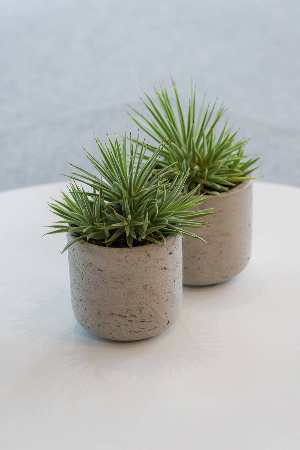 Planter Round Charlie S Grey Washed Ø15cm x H14,5cm