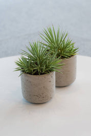 Planter Round Charlie S Grey Washed Ø15cm x H14,5cm