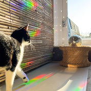 Rainbow maker sticker | You are the sunshine