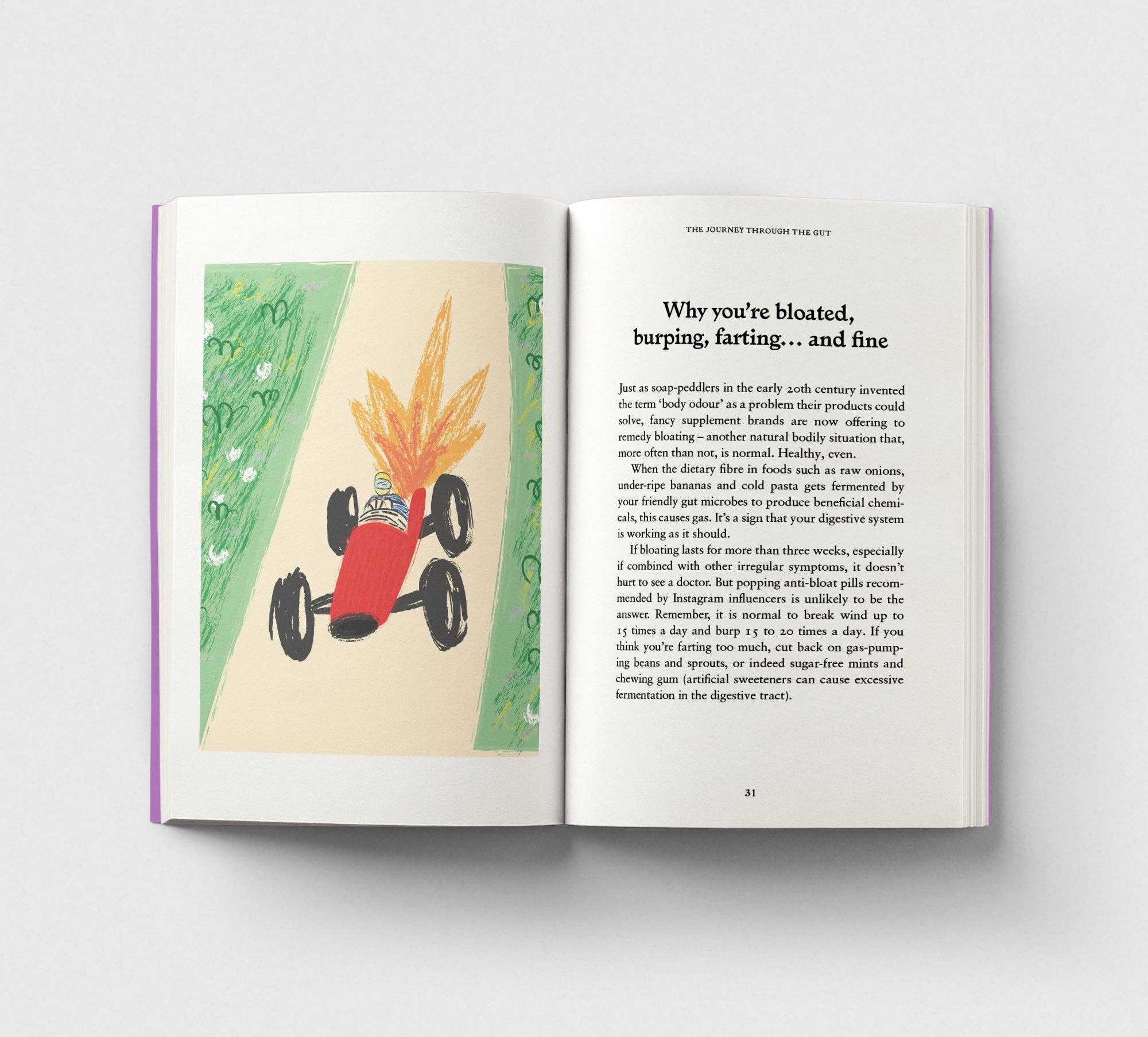 The Gut, A Pocket Primer