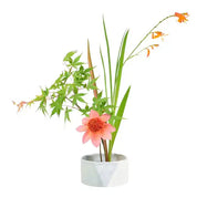 Burgon & Ball Flower Arranging Bowl | Fuji Ikebana Set with Kenzan, Blue Grey Stoneware