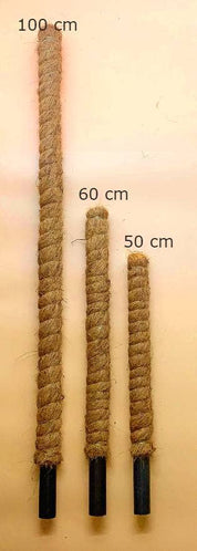Support Pole for Plants |  Growpoles | Monstera poles