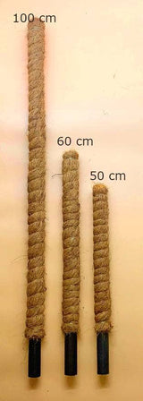 Support Pole for Plants |  Growpoles | Monstera poles