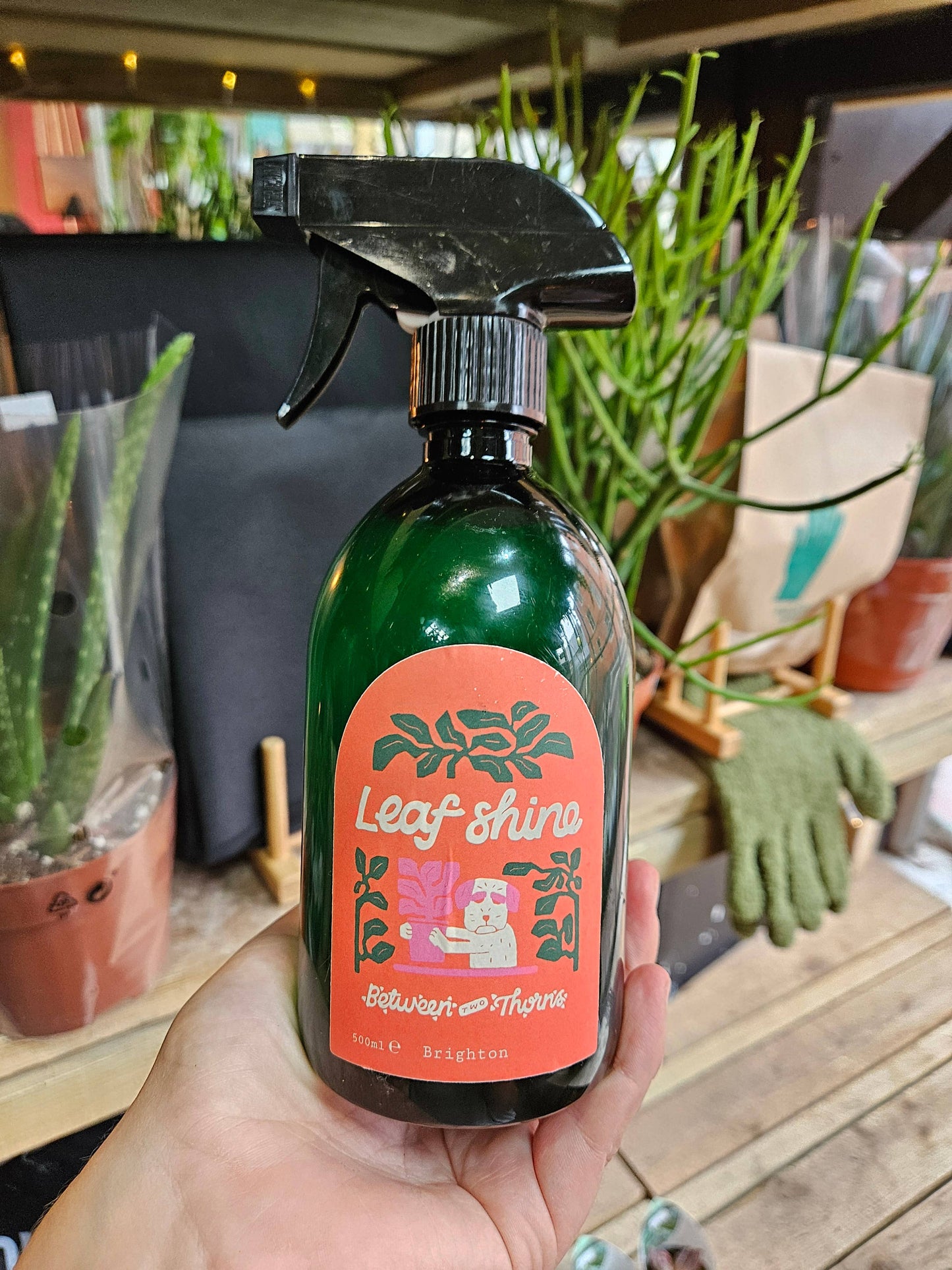 Leaf Shine