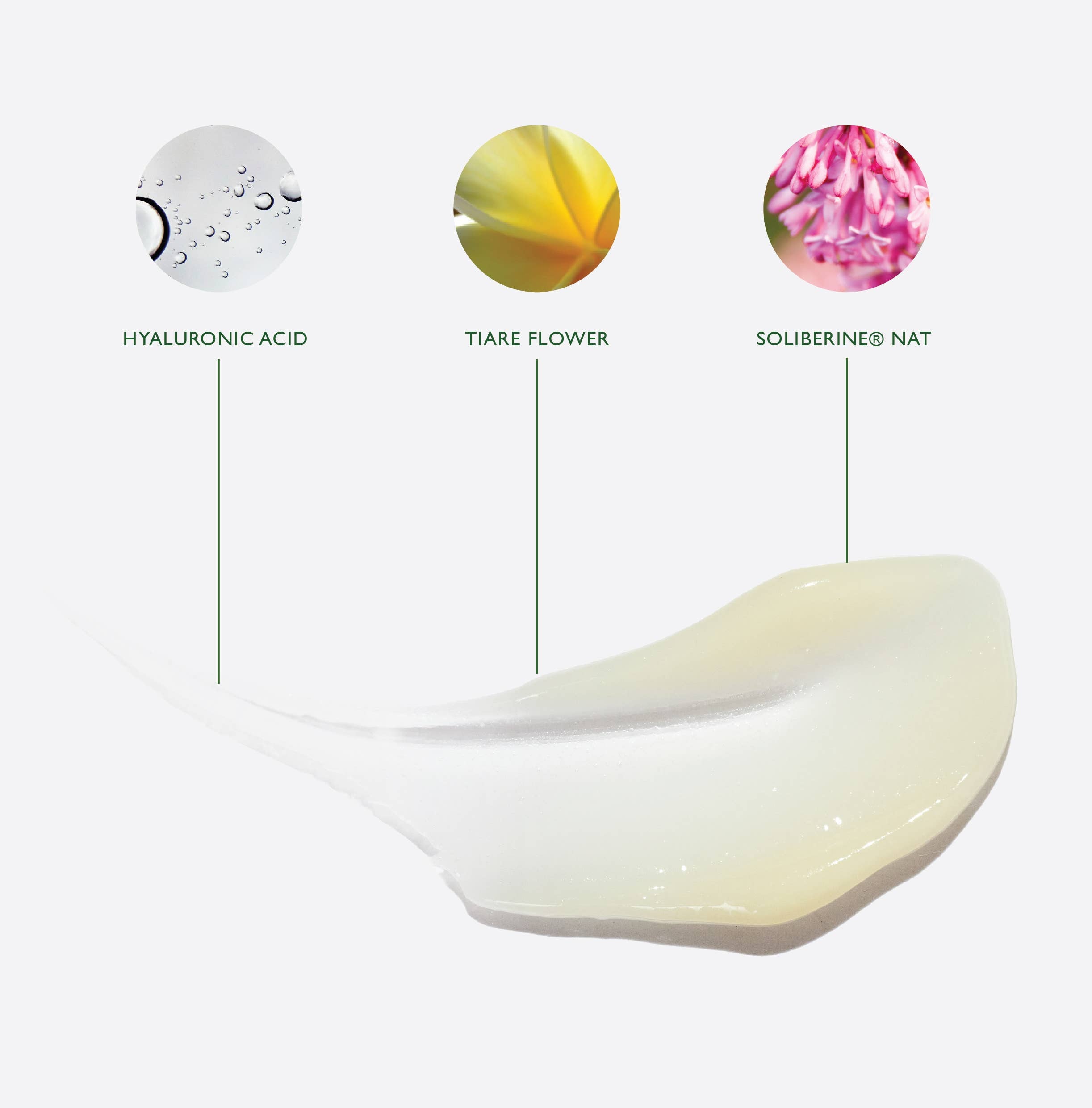 Moisturiser | 100 ml