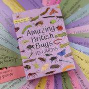 Amazing British Bugs ID Cards