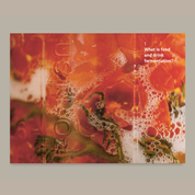 Do Ferment | Gut boosters and foods that fizz