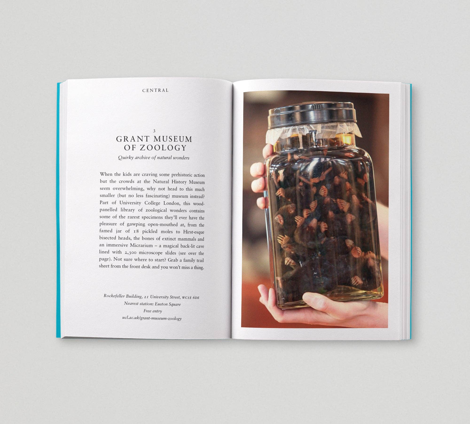 An Opinionated Guide to Big Kids' London