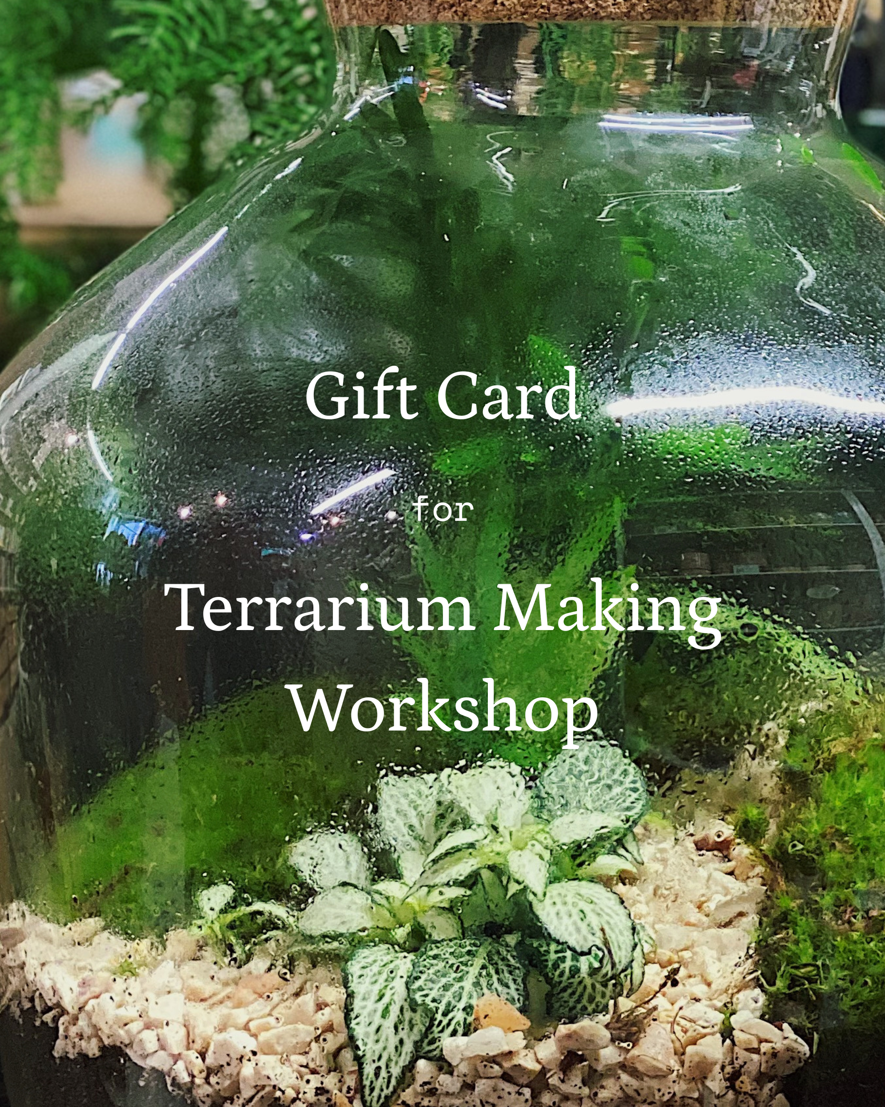 Gift Card for Terrarium Making Workshop