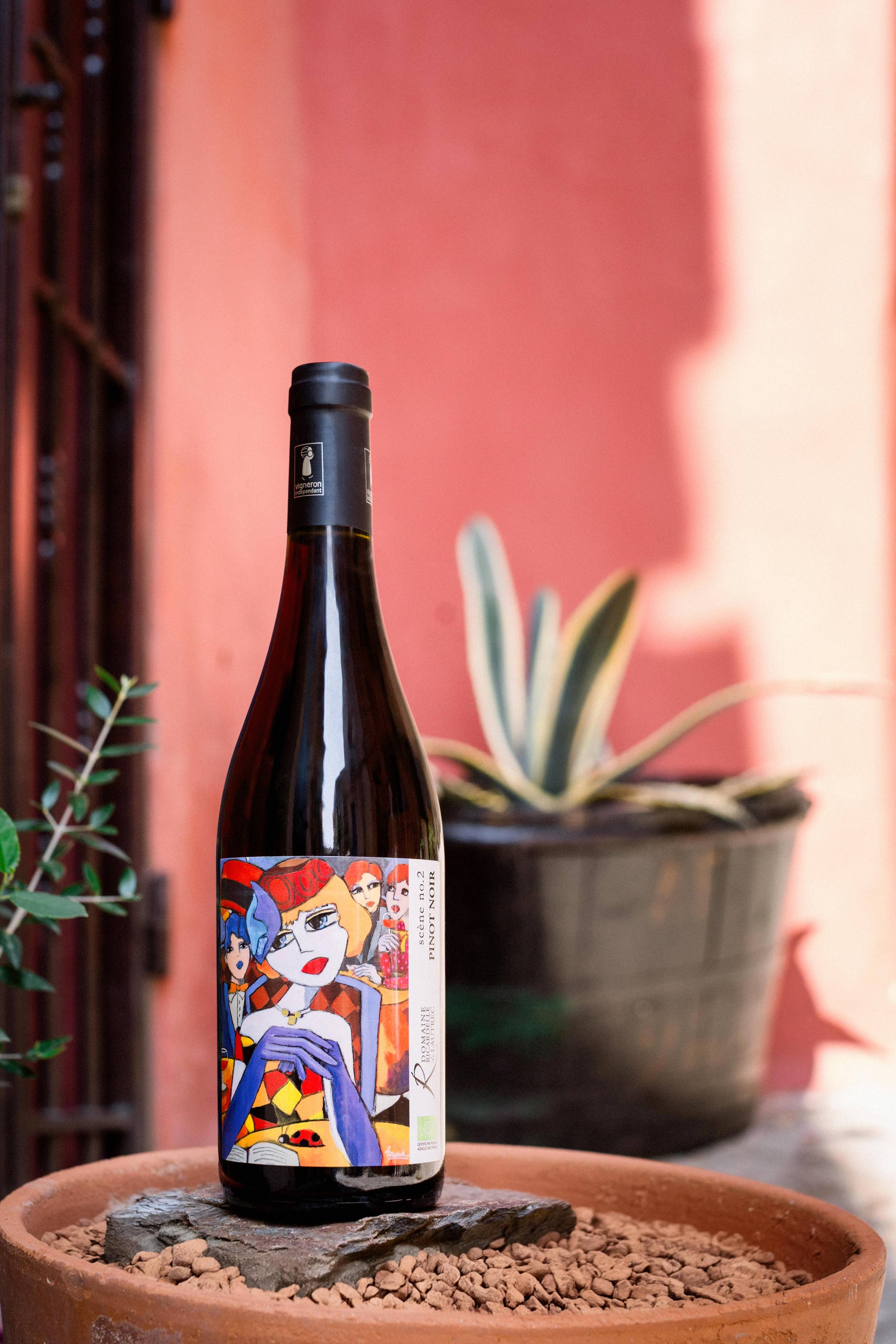 Biodynamic Red Wine | Pinot Noir Scene No. 2 2025 (Abv 13.5%)