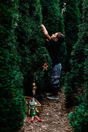 Christmas Baby Toy Festive rattle – elf (medium)