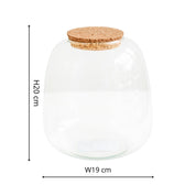 Bowl Shape Medium Terrarium DIY Kit