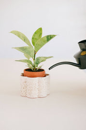Self-Watering Pot | Paulita | Small Speckled white