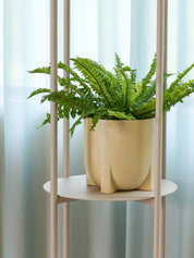 Up-Pot Plant Pot | Yellow
