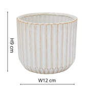 Ivyline Willow Planter | Ivory Ribbed Ceramic Plant Pot, H10.5cm D12cm