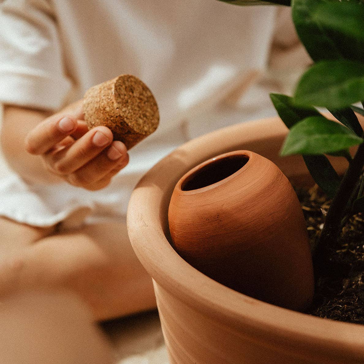 Olla Plant Waterer | Terracotta