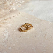 Gold Laurel Huggie Hoops by Little Nell