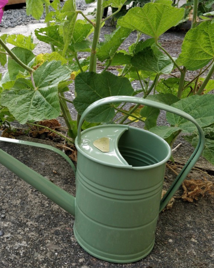 Watering Can 1.5L