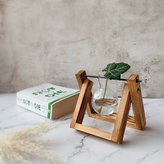 Glass Planter Bulb Vase with Wooden Stand | Single