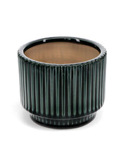 green ribbed plant pot on a white background