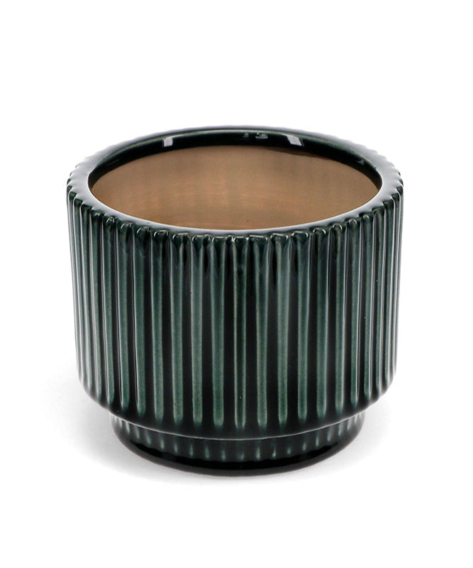 green ribbed plant pot on a white background
