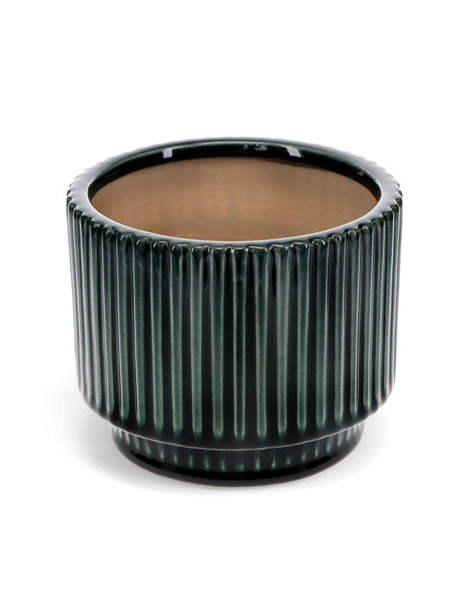 green ribbed plant pot on a white background