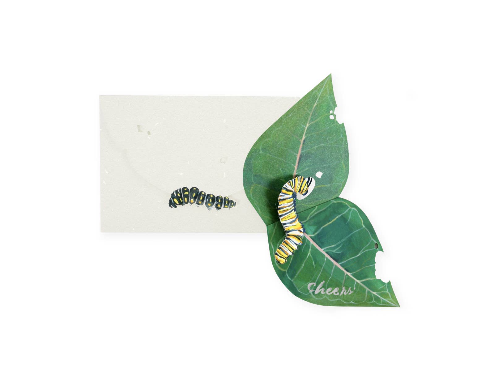 “Caterpillar” Pop-Up Card