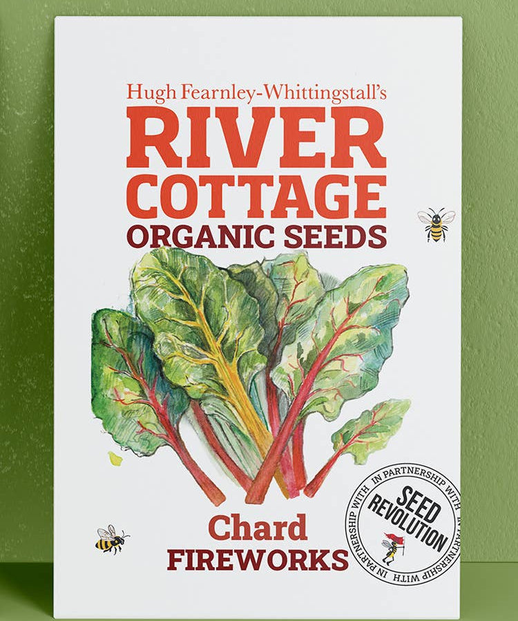 River Cottage Organic Seeds packaging with chard illustration on a green background