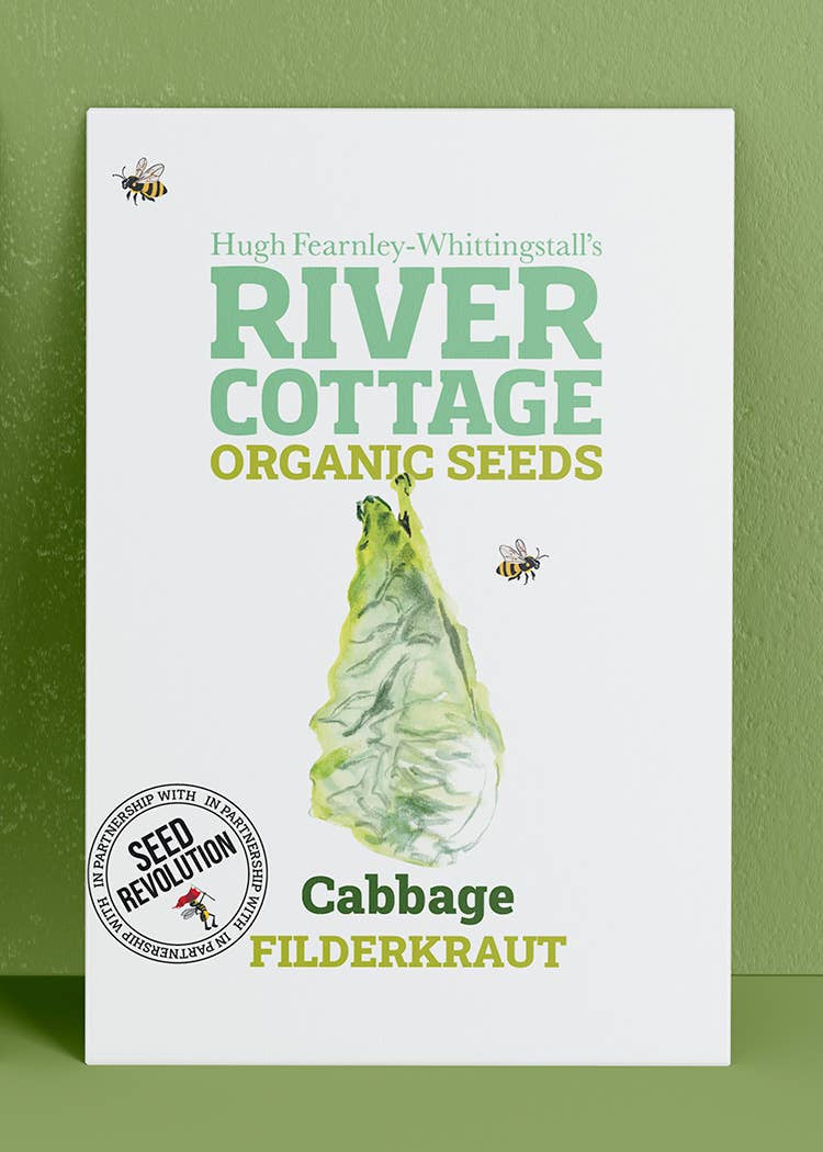 Organic Cabbage Seeds | Filderkraut