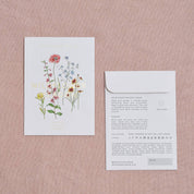 Bee-Friendly Wildflower Meadow Garden Seeds