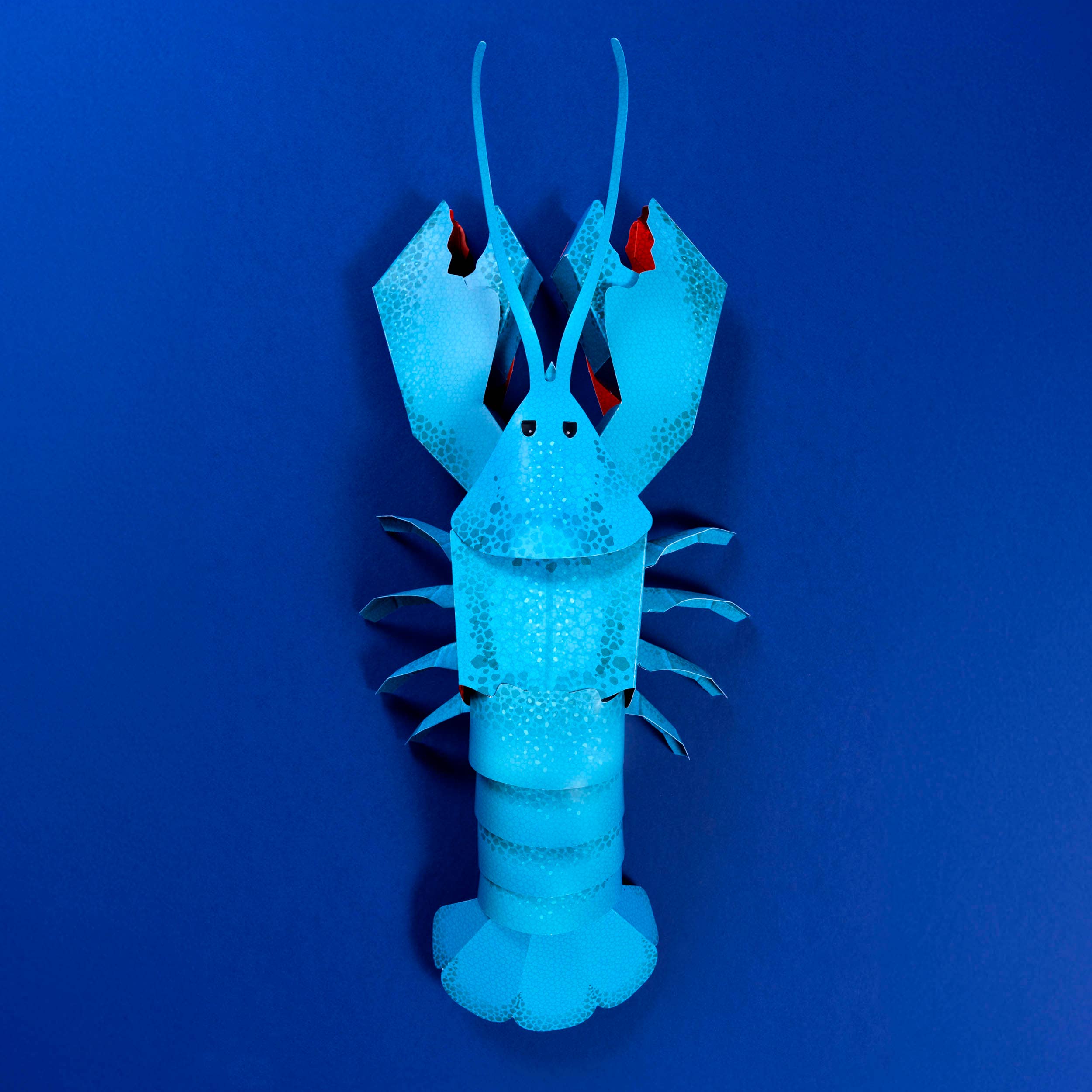 Make Your Own Loveable Lobster
