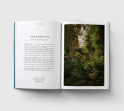 An Opinionated Guide to Rainy Day London