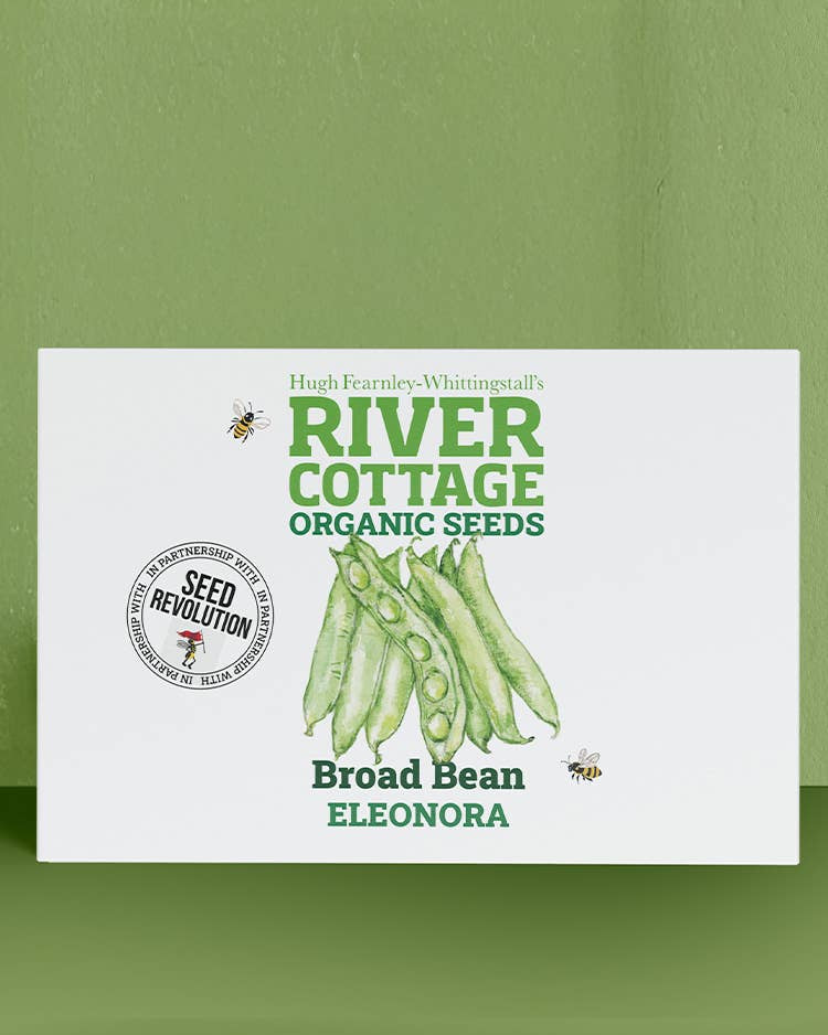 Organic Broad Bean Seeds Eleonora | River Cottage