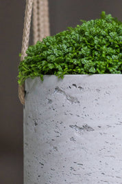 Hanging planter Round Charlie M Grey Washed Ø18cm x H17,5cm
