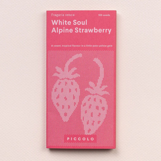 The Every Space White Soul Alpine Strawberry pack of 100 seeds by Piccolo