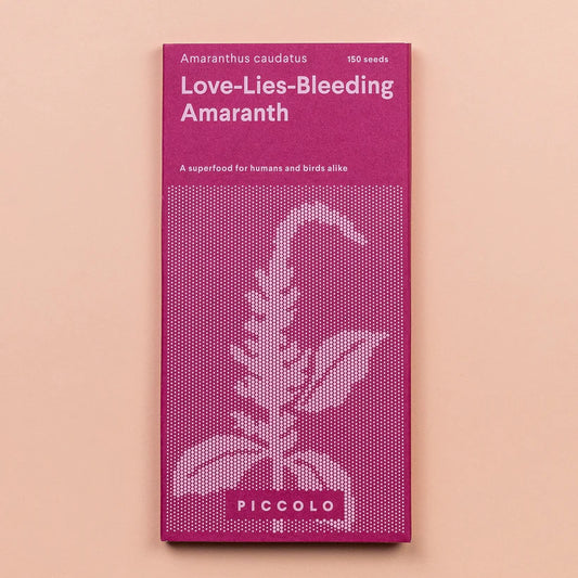 The Every Space Amaranth Love Lies Bleeding pack of 150 seeds by Piccolo