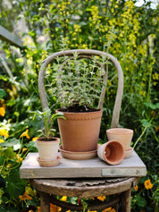 Helena Pot | Rose Clay