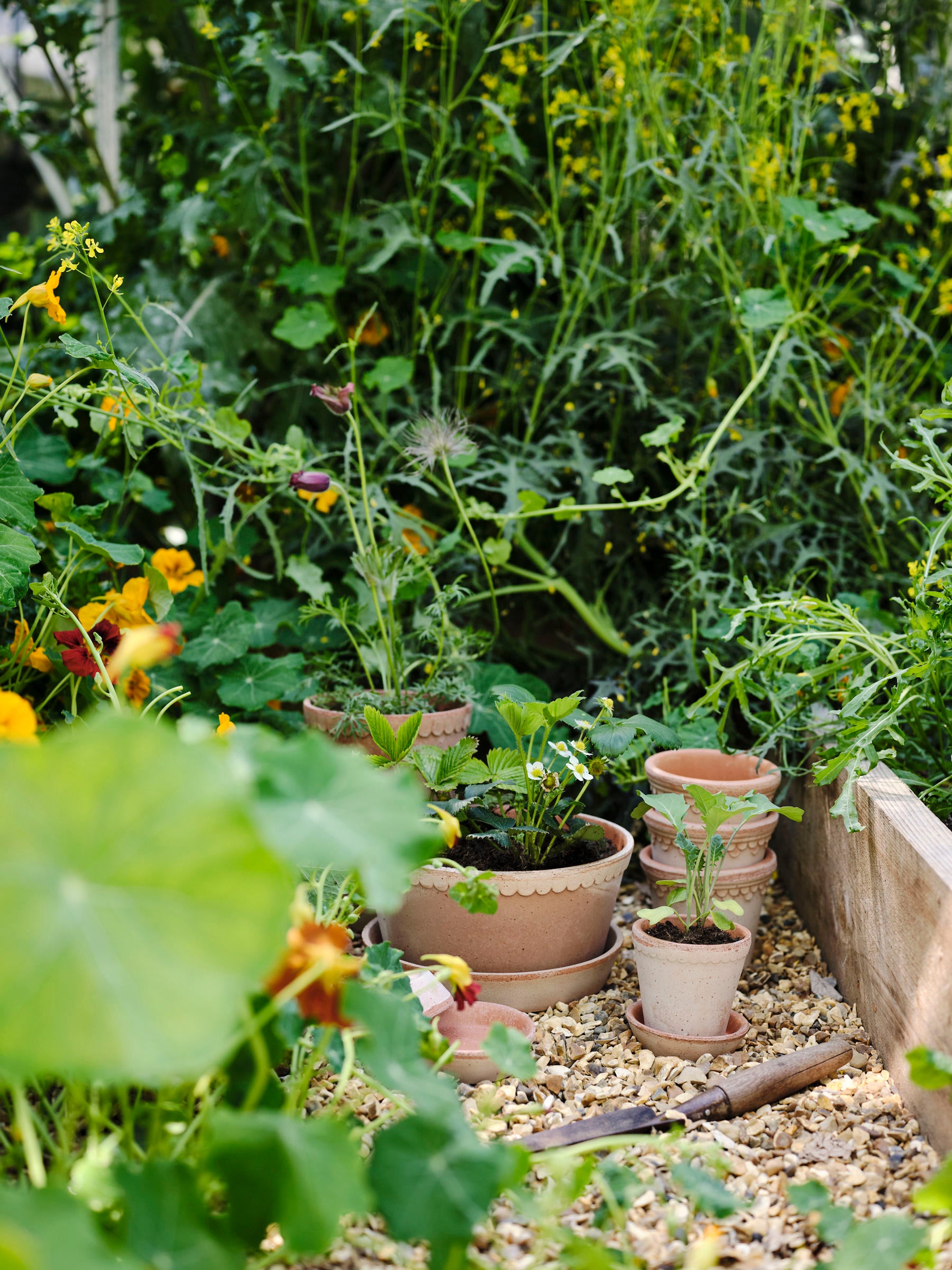 Helena Pot | Rose Clay