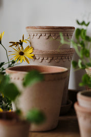 Helena Pot | Rose Clay