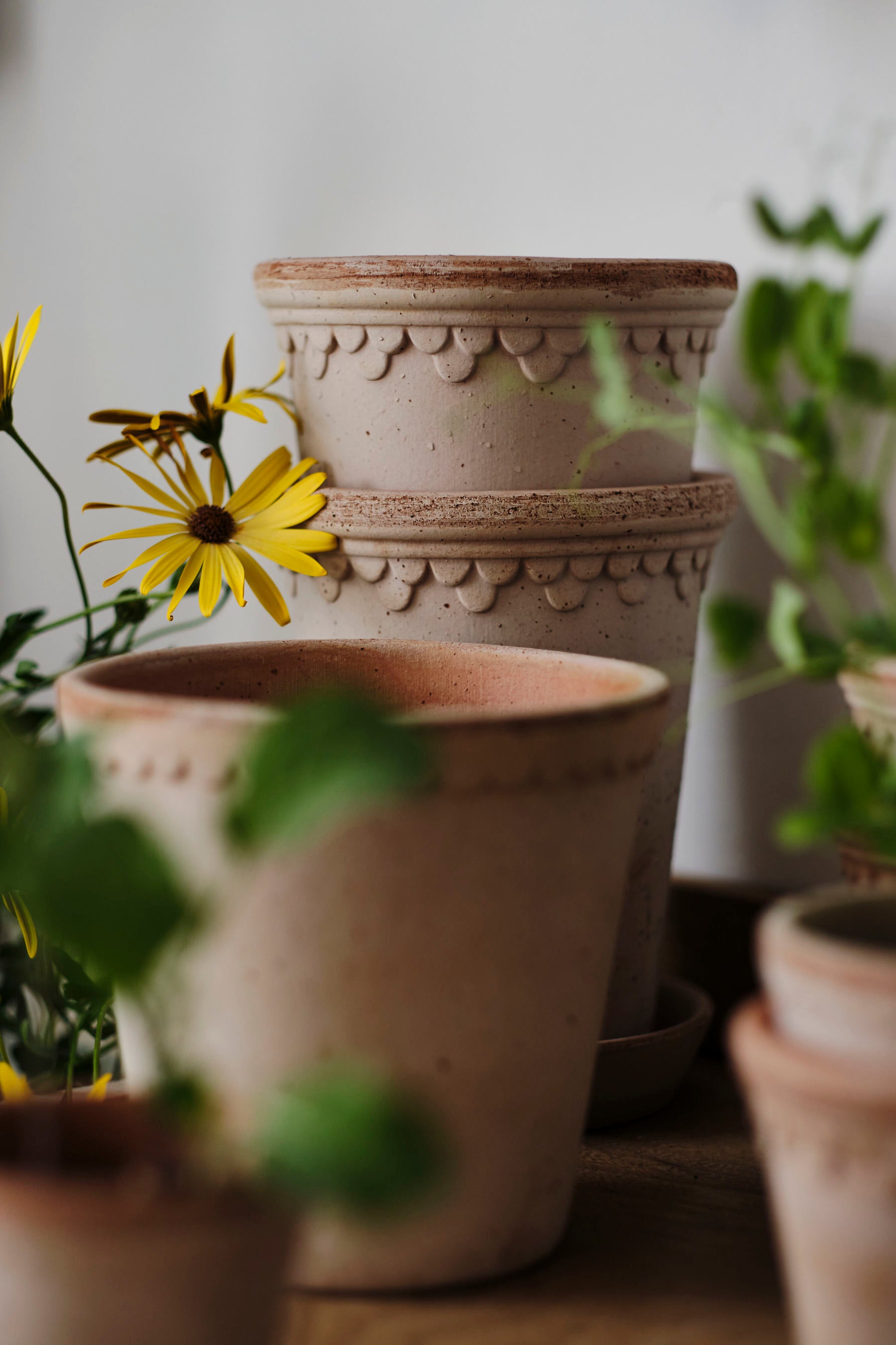 Helena Pot | Rose Clay