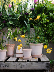Helena Pot | Rose Clay
